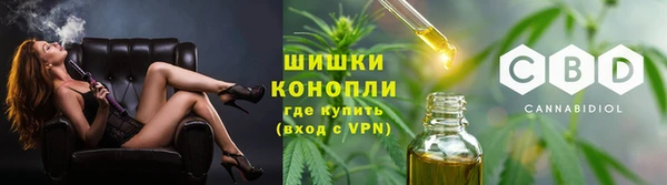 трава Осинники