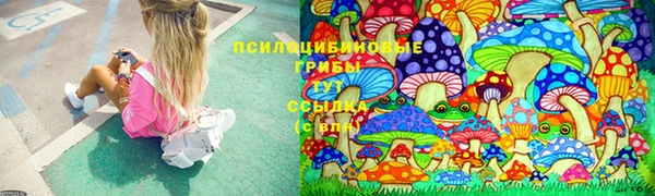 стаф Пересвет