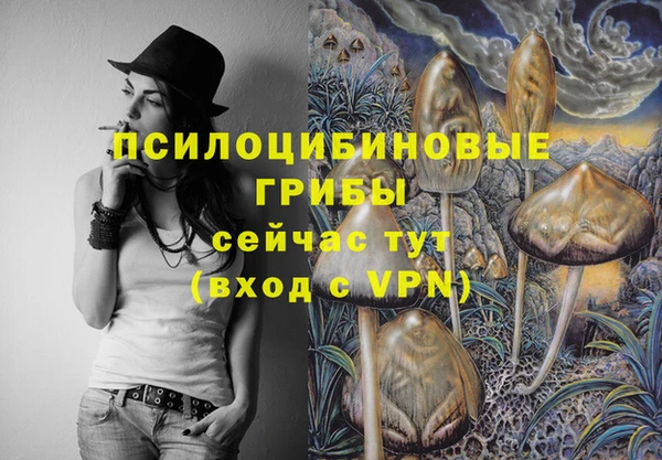 трава Осинники