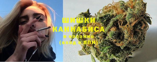 трава Осинники